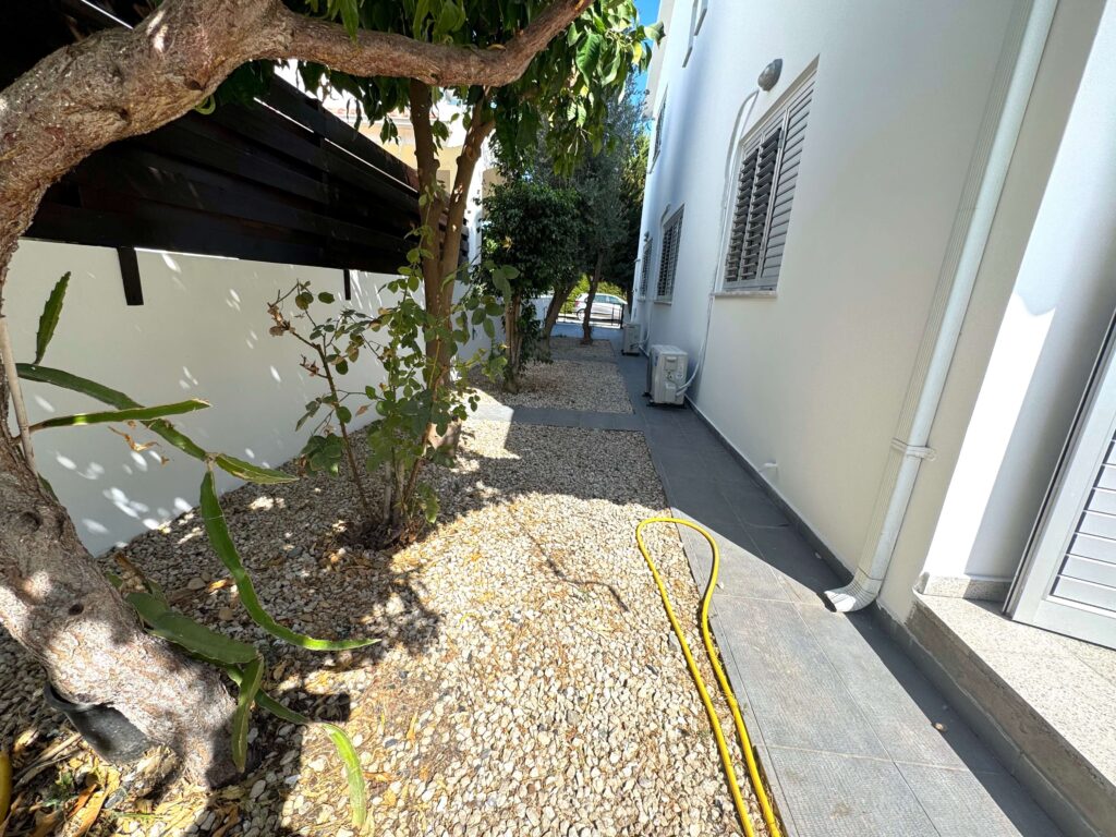 IMG 7969