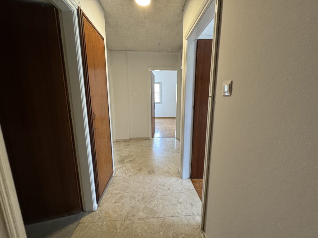 IMG 1020