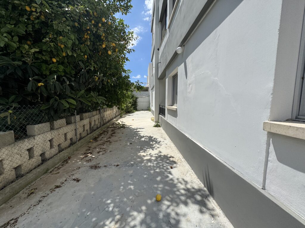IMG 1041