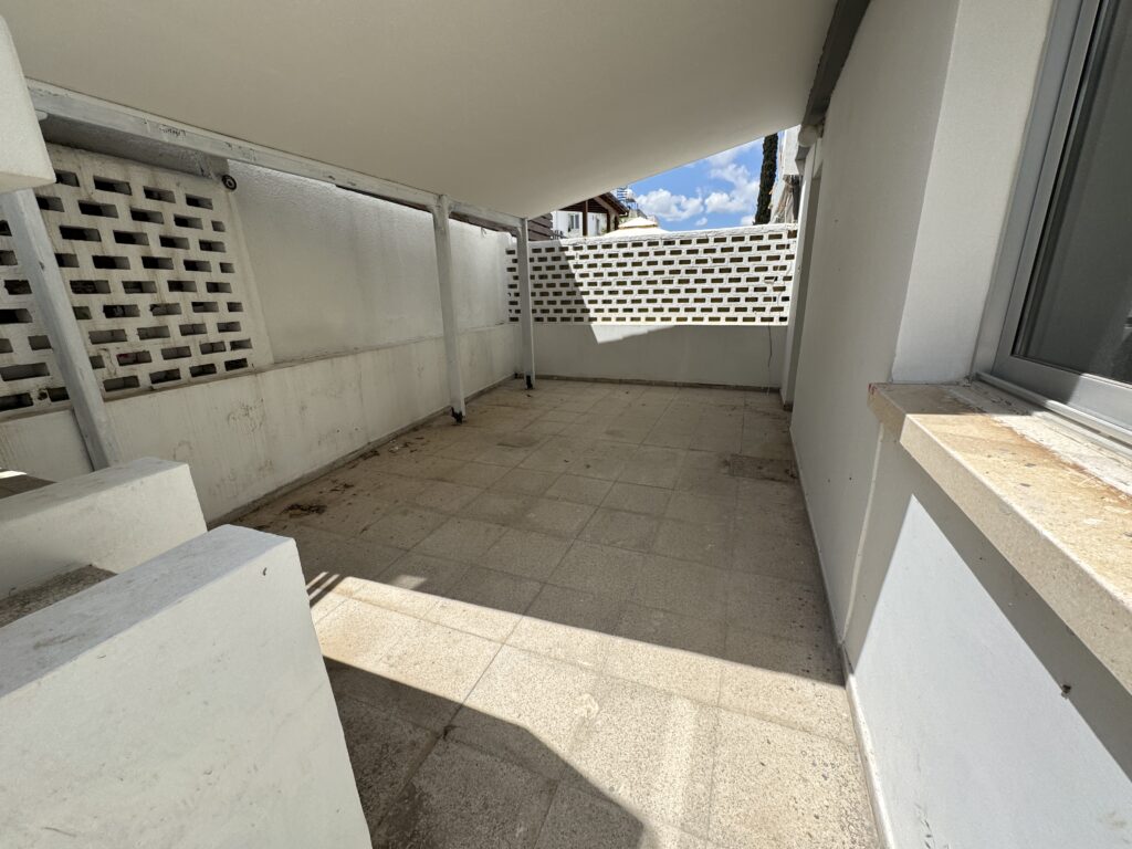 IMG 1042