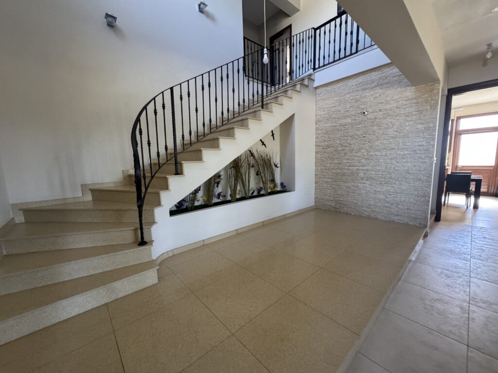 IMG 2746