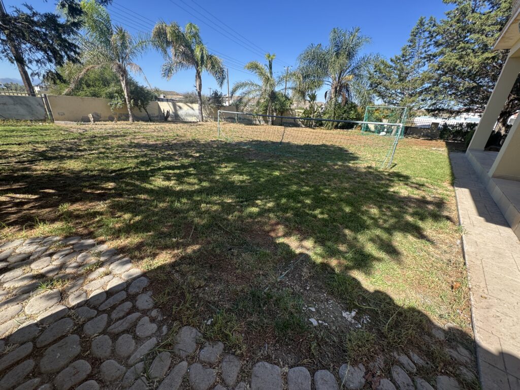 IMG 2764